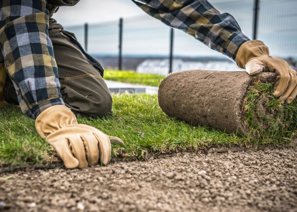 Sod removal and installation in Orlando