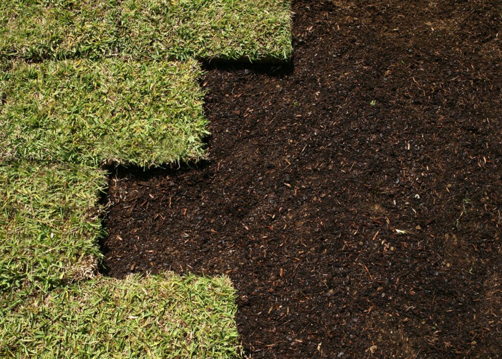 Orlando sod companies