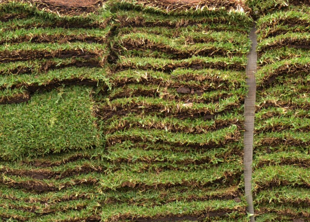 Sod delivery in Orlando