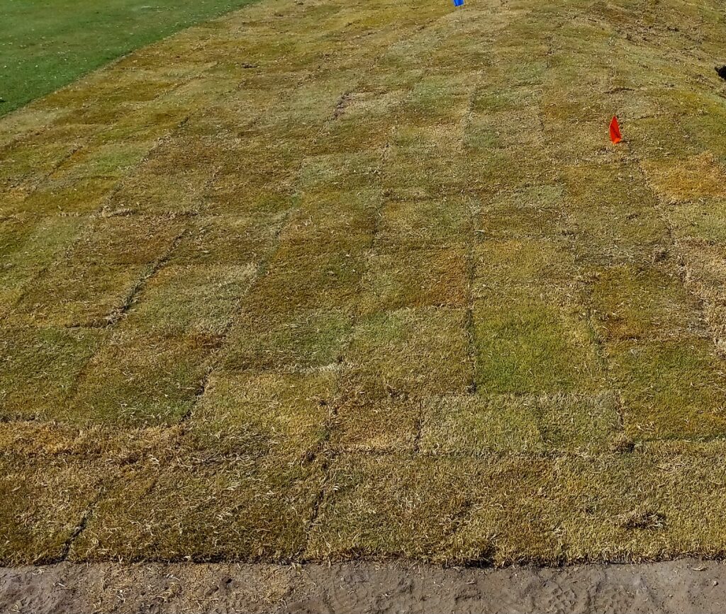 Residential Sod Installation in Orlando